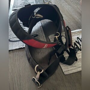 Tool bet suspenders